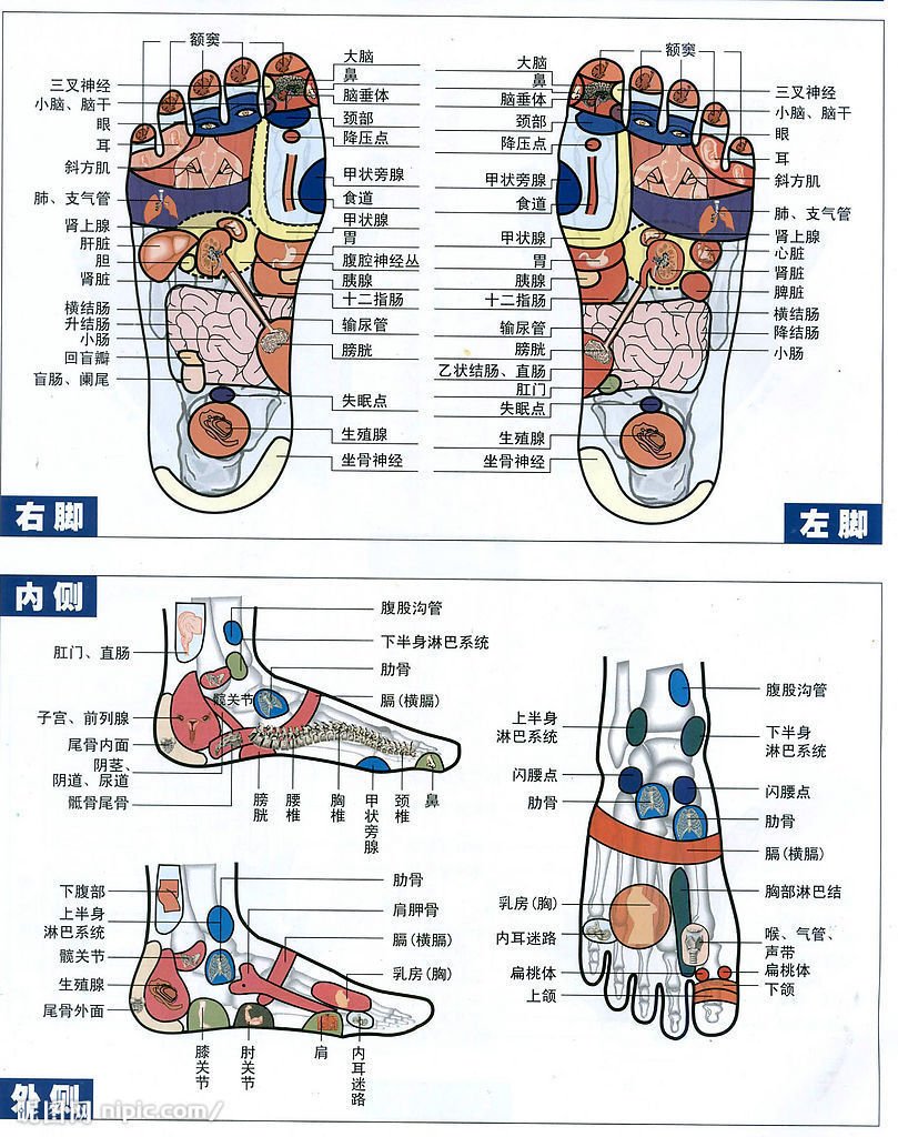 Схема органов на стопе. Акупунктурные точки на стопе. Стопа проекция органов схема. Проекции органов на стопах ног. Акупунктурные точки стопы схема.